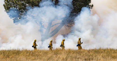 The Importance of Teamwork for Wildland Firefighting	