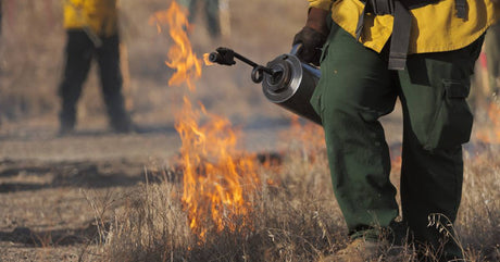 A close-up of a firefighter wearing protective gear while carrying a torch through a section of wildland.