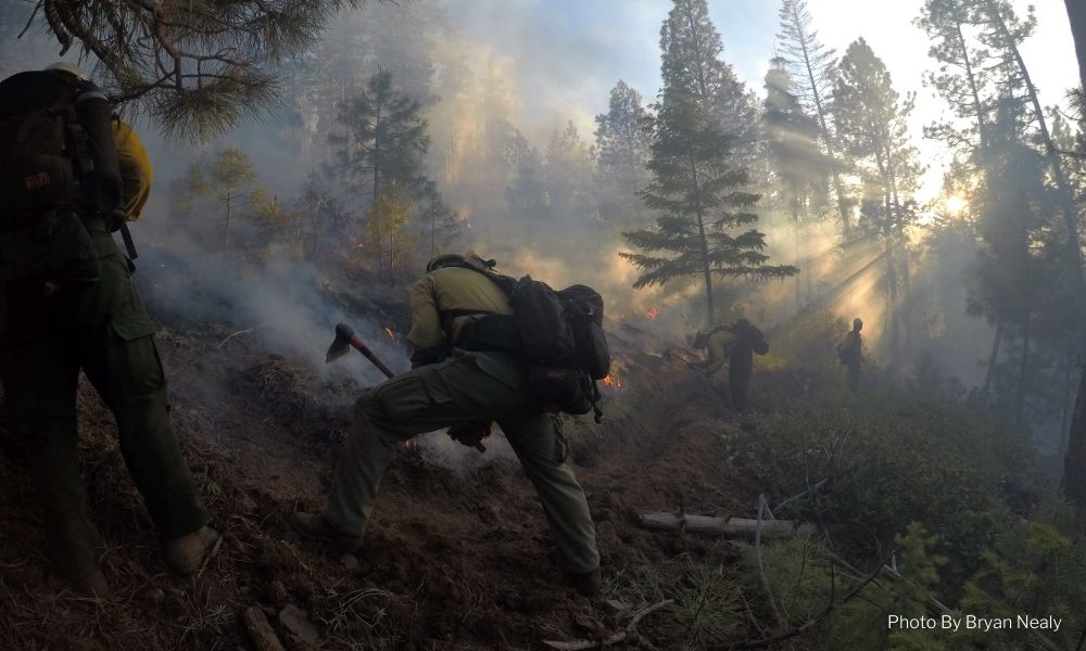 The Different Wildfire Suppression Tactics