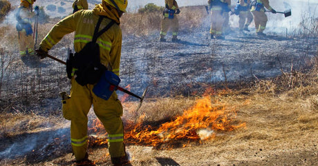 Eight wildland firefighters in full gear are seen digging a fireline to slow down a grass fire's progress.