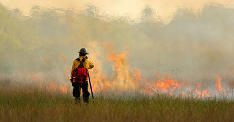 What Structural Firefighters Can Learn From Wildland Tactics