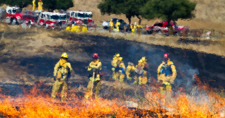 A group of firefighters are seen from the front, facing a grass fire, enveloped in a haze suggesting tremendous heat.